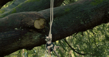 Dracula: Rise of the Vampire (2025) download