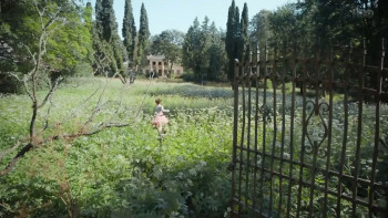 Drugelio sirdis (2021) download