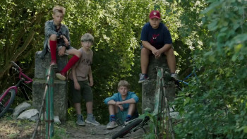 Drugelio sirdis (2021) download