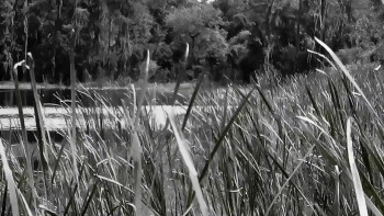 End Survival (2020) download