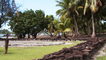 Escape to Tahiti and Her Islands (2011) download