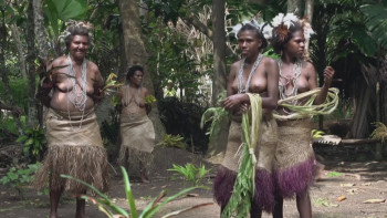 Escape to Vanuatu (2014) download