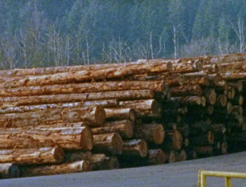 Even Hell Has Its Heroes (2023) download