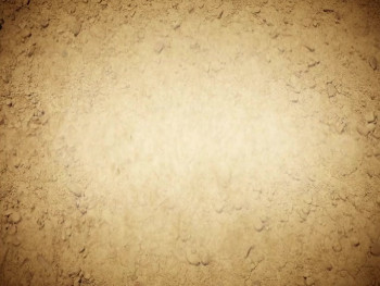 Every Second Counts: The Story of the 2008 CrossFit Games (2009) download