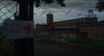 Executive Protection (2001) download