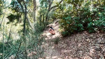 Feral Female (2025) download