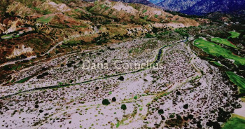 Finger Licking (2024) download