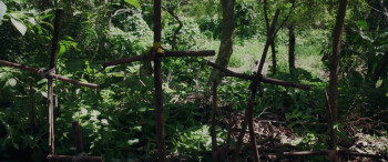 Fireflies at El Mozote (2026) download