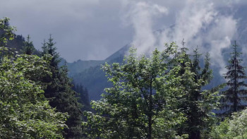 Fit for Life: Dare to Dream (2024) download