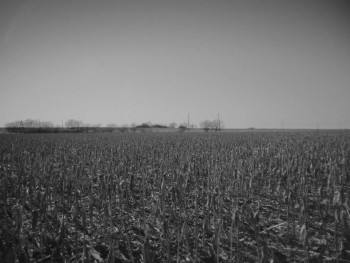 Fugitive Dreams (2020) download