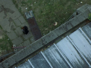 Gabriel & Me (2001) download