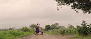 Gandhi Tatha Chettu (2025) download