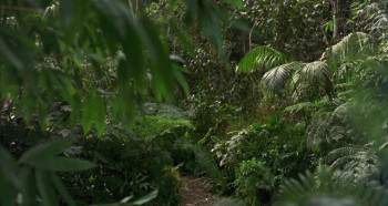 George of the Jungle (1997) download