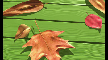 Geri's Game (1997) download