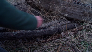 Girl Taken (2025) download