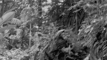 Gloria (1999) download