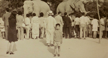 Green Fish (1997) download