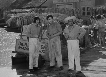 Green Hell (1940) download