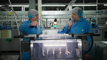 Gregg Wallace: The British Miracle Meat (2023) download