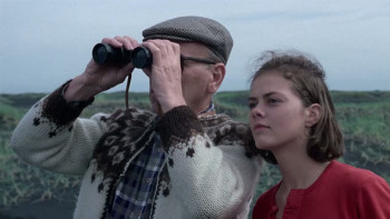 Gullsandur (1984) download