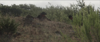 Guns Blazin (2024) download