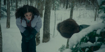 Hair of the Bear (2025) download