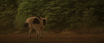 Hakkenden (2024) download