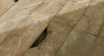 Hanami (2024) download