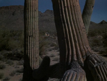 Hell's Belles (1969) download