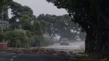 High Tide Don't Hide (2021) download