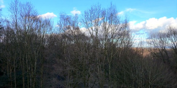 Holidays with the Twins (2025) download