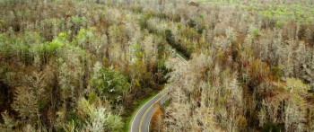 Homefront (2013) download