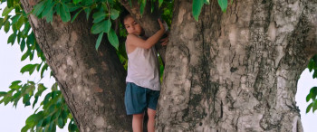 Hoshiar Singh (2025) download