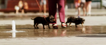 Hotel Swooni (2011) download