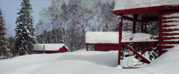 Hunting the Northern Godard (2013) download