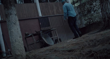 I Heart Willie (2024) download