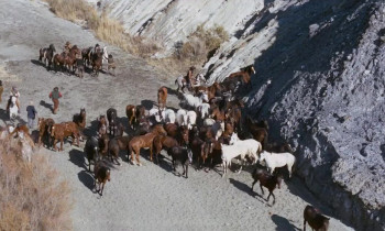 I Live for Your Death (1968) download