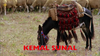 Ibo ile Güllüsah (1977) download