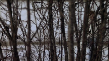 Ice Castles (2010) download