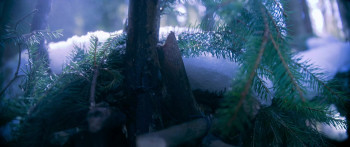 Icefall (2025) download