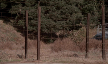 Ilsa: She Wolf of the SS (1975) download