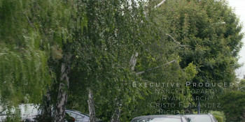 In Flight (2024) download