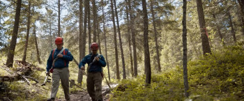 Incandescence (2024) download