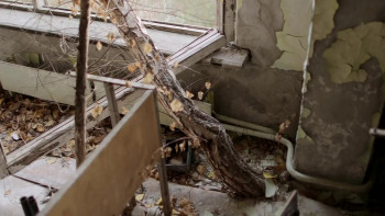 Inside Chernobyl with Ben Fogle (2021) download