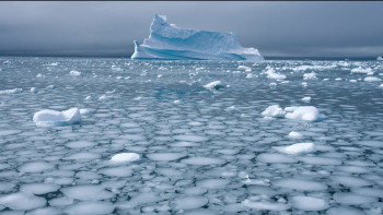 Into the Cold: A Journey of the Soul (2010) download