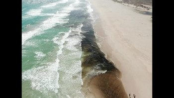 John Bronco Rides Again (2021) download