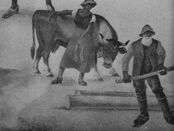 Jugend der Welt. Der Film von den IV. Olympischen Winterspielen in Garmisch-Partenkirchen (1936) download