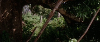 Jungle Raiders (1945) download