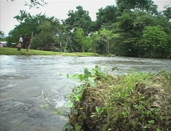 Junk Films (2007) download