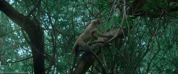 Kantara A Legend: Chapter 1 (2025) download